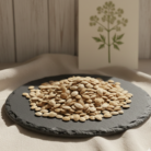 angelica-seed-oil-2.png