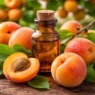 apricot-kernel-carrier-oil-3.png