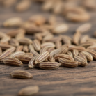 caraway-seed-oil-3.png