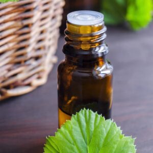 Geranium Leaf Absolute Oil