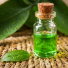 green-tea-absolute-oil-2.png