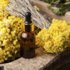 helichrysum-absolute-oil-3.jpg
