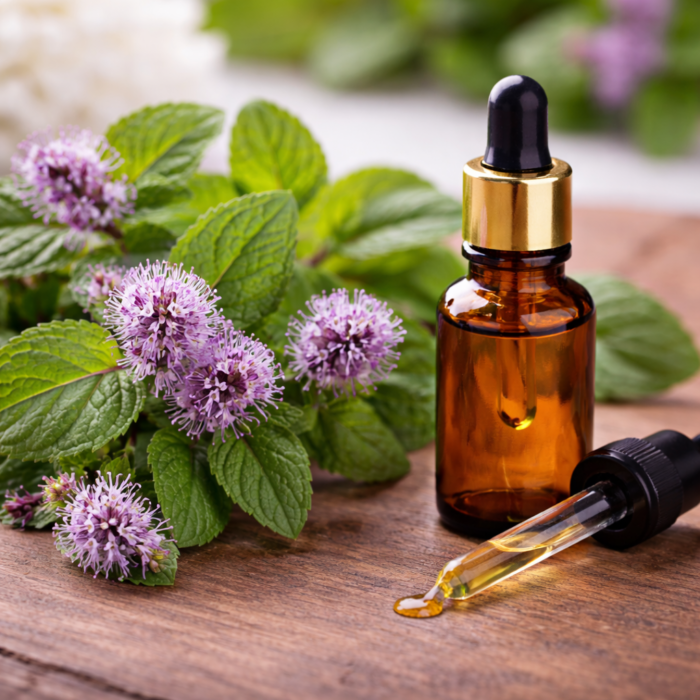 mentha-citrata-oil-1.png