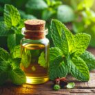 mentha-oil-natural-crude-de-terpenated-1.jpg
