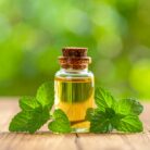 mentha-piperata-oil-3.jpg