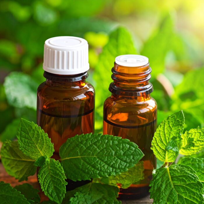 menthone-75-23-2.jpg menthone-75-23-2.jpg