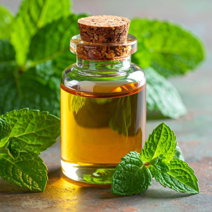 menthone-natural-crude-95-98-2.jpg menthone-natural-crude-95-98-2.jpg