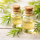 tea-tree-oil-3.png