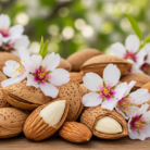 almond-oil-virgin-2.png
