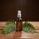 cedar-leaf-thuja-water-1.png