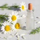 chamomile-oil-1.png