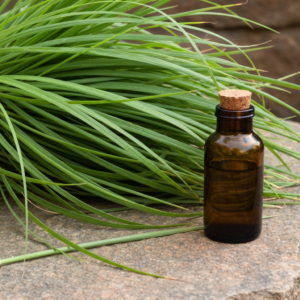 Citronella Oil