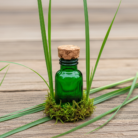 citronella-oil-certified-organic-1.png