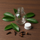 clove-leaf-oil-1.png