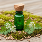 coriander-oil-certified-organic-1.png