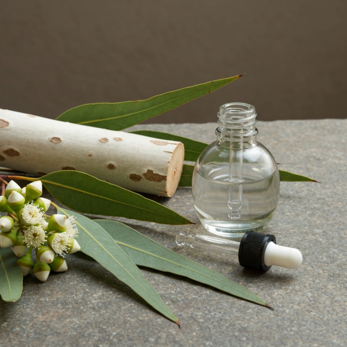 eucalyptus-citriodora-oil-1.png eucalyptus-citriodora-oil-1.png