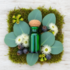 eucalyptus-globulus-oil-1.png