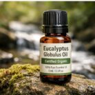 eucalyptus-globulus-oil-certified-organic-3.jpg