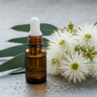 eucalyptus-oil-1.png