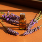 french-lavender-oil-1.png