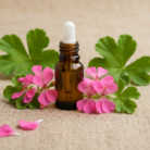 geranium-oil-1.png