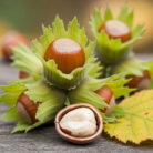hazel-nut-oil-2.png
