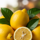 lemon-oil-2.png