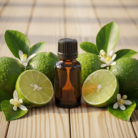 lime-oil-1.png