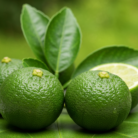 lime-therapeutic-grade-oil-2.png