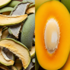 mango-powder-oil-2.png