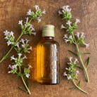 mountain-savory-oil-1.png