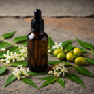 neem-carrier-oil-1.png