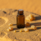 olibanum-oil-1.png