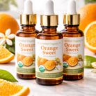 orange-sweet-certified-organic-oil-3.jpg