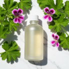 rose-geranium-oil-1.png
