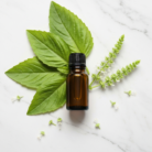sweet-basil-oil-1.png