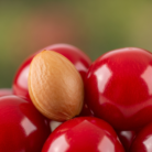 sweet-cherry-kernel-carrier-oil-2.png