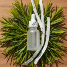 tea-tree-australian-oil-1.png