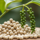 white-pepper-oil-2.png