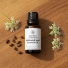 wildcrafted-anise-seed-oil-1.png
