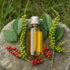 wildcrafted-black-pepper-oil-1.png