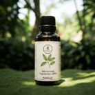 wildcrafted-patchouli-oil-1.png