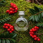 winter-green-therapeutic-grade-oil-1.png