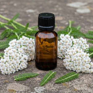 Yarrow Oil