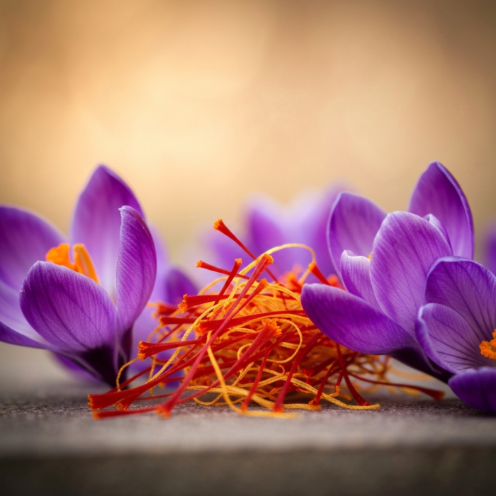 zafran-attar-kesar-saffron-2.png zafran-attar-kesar-saffron-2.png